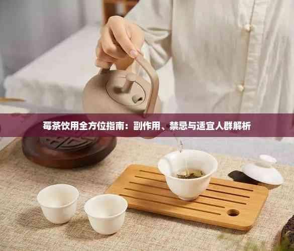 莓茶饮用全方位指南：副作用、禁忌与适宜人群解析