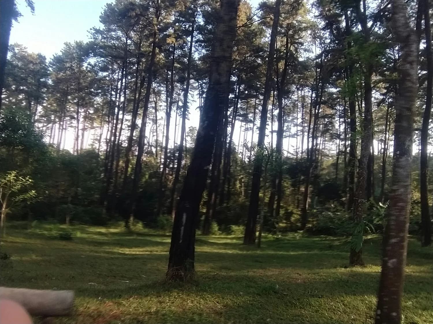 小马森林乐园：中山紫马岭的新宠儿！
