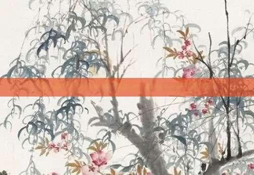 绿茶制造方法揭秘，了解不同类别，品味独特风味