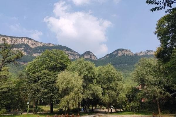 济南灵岩寺：千年古刹的自然与人文之美
