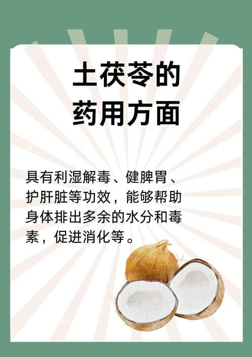 土茯苓的功效与作用：传统应用与现代研究