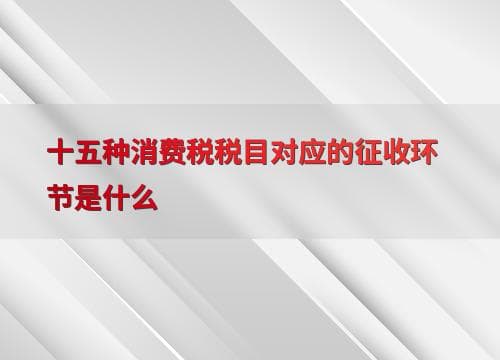 十五种消费税税目对应的征收环节是什么