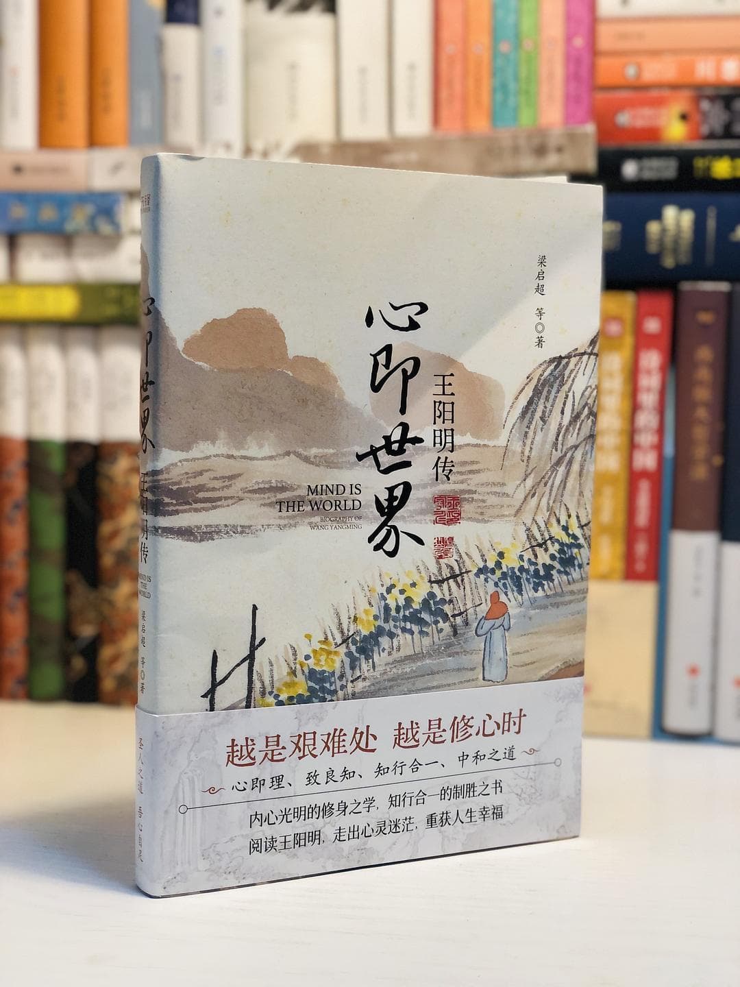 国内相对权威的王阳明传记