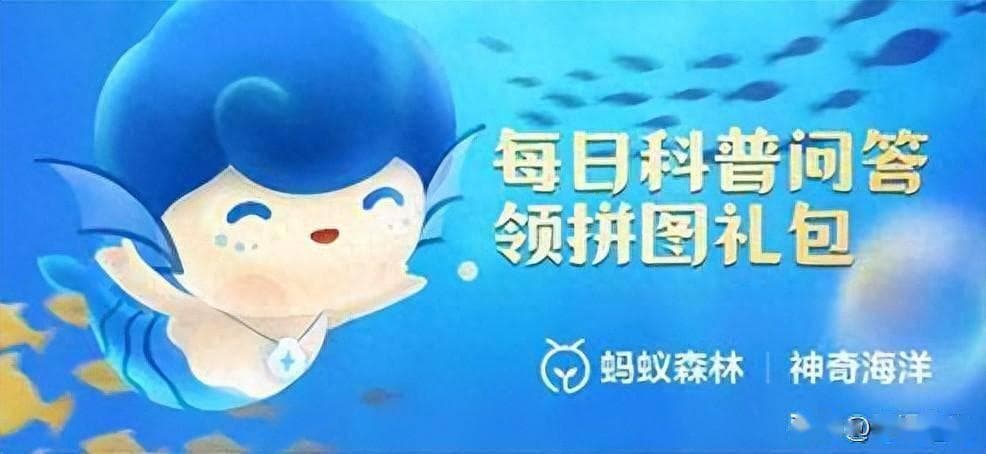 绿藻：水域生态的生产者，兼具食用与环保价值
