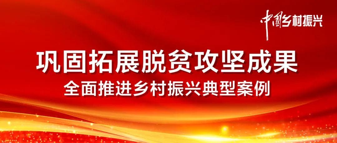 【产业发展篇】老腊肉激发乡村振兴新动能