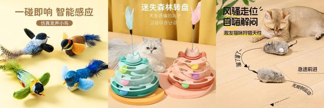 3款备受猫咪喜爱的玩具，给猫咪一个有趣的体验！