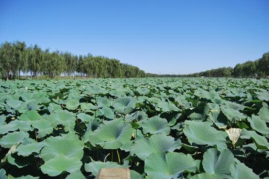 铁岭新城：宜居宜游的沈阳后花园