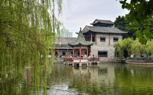 可园探幽：岭南园林的诗意栖居