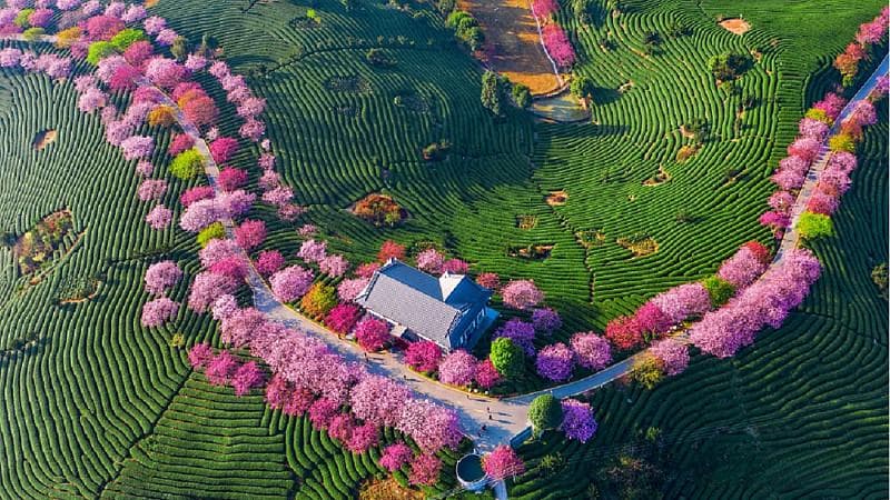 四川首部旅游公路标准发布！告诉你旅游公路怎么建
