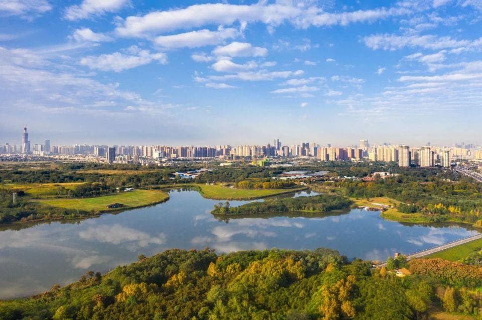 成都5大免费湿地公园全攻略：从青龙湖到白鹭湾，晒太阳、赏水杉的绝佳去处！