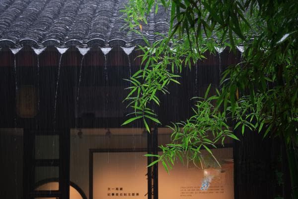 雨中天一阁 中式美学的顶流地