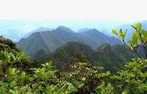 九龙山自然保护区：自然奇观与生态旅游指南