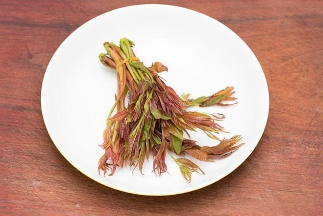 以下哪一项是春季常见的芽类蔬菜？香椿还是藕芽？