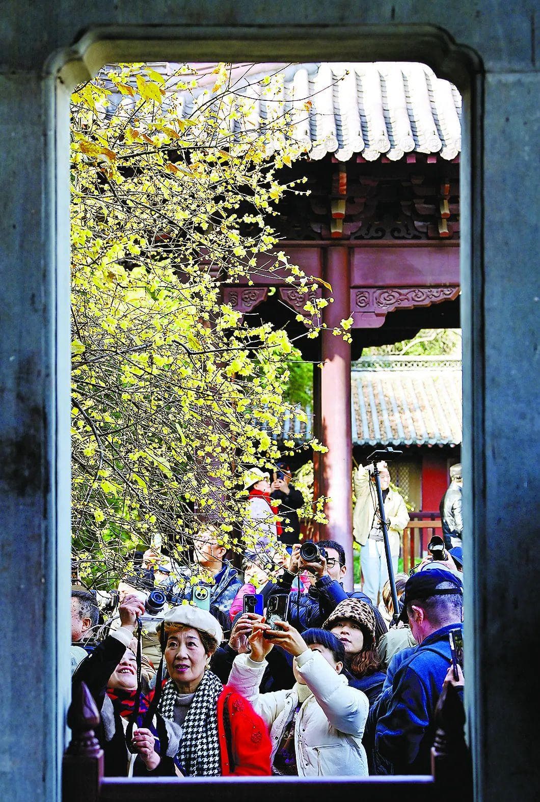 城中花事 四时流光——从赏花到“赏花经济”的杭州探索