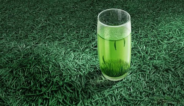 红茶VS绿茶：每天该喝哪种？90%的人都选错了
