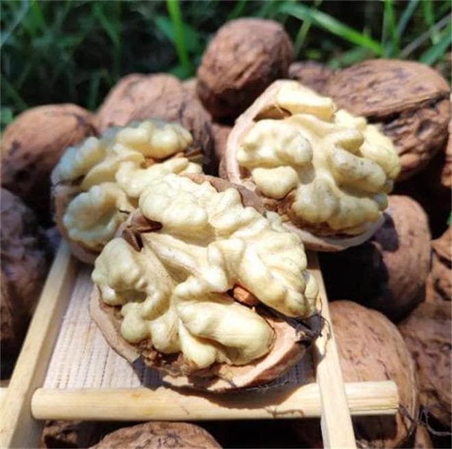 青皮核桃怎么去皮？三种实用方法轻松搞定