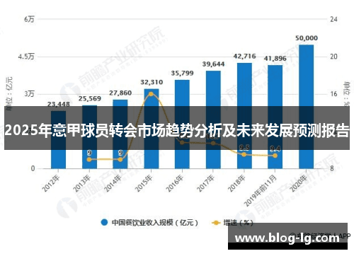 2025年意甲球员转会市场趋势分析及未来发展预测报告