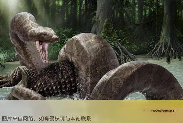 世界十大凶猛古生物