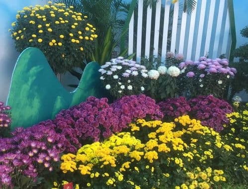 1000种花名大全：从常见到罕见的花卉世界