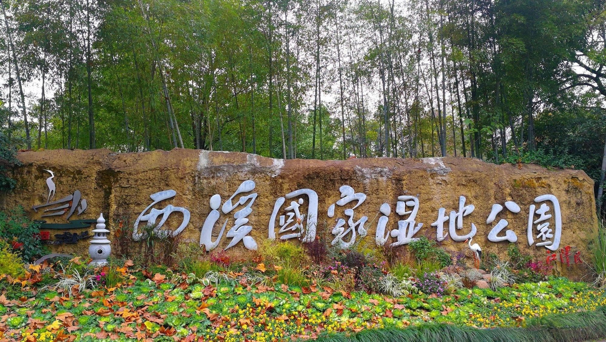 西溪湿地可以免费玩？对，跟我走，去西溪寻找春日野趣