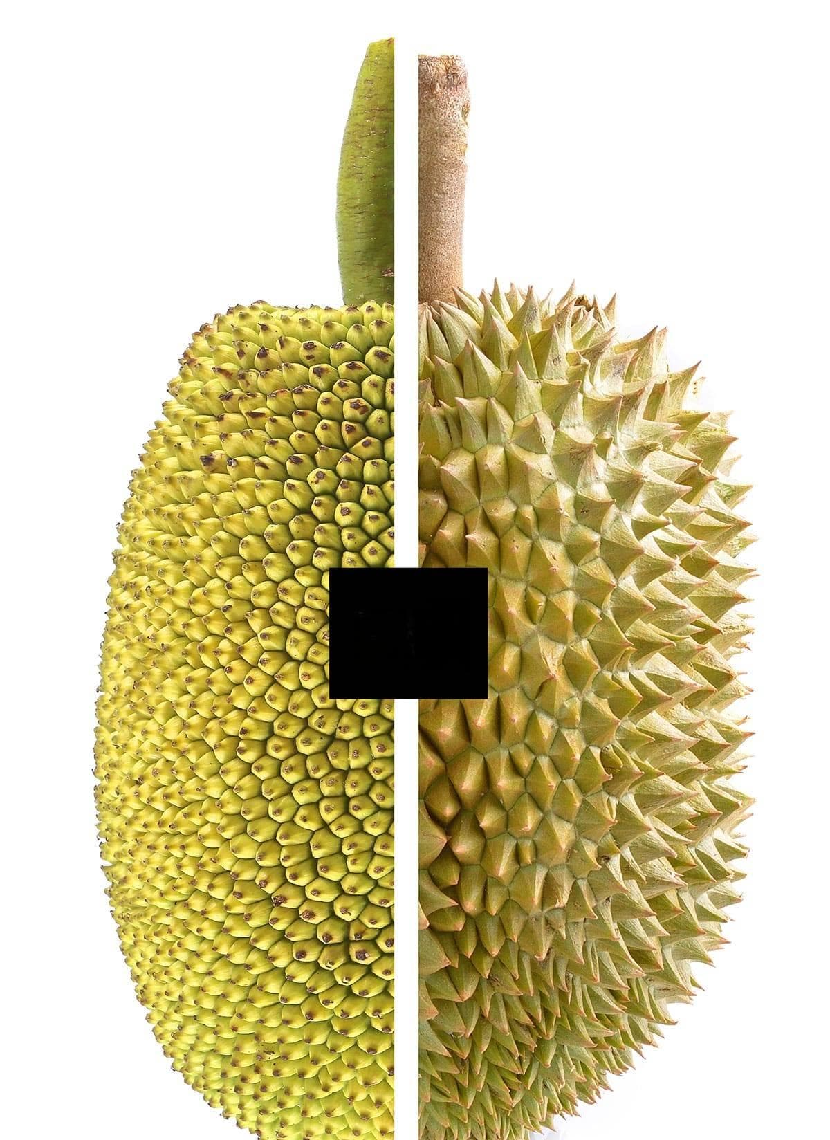 菠萝蜜与榴莲：有什么区别？(附图片）