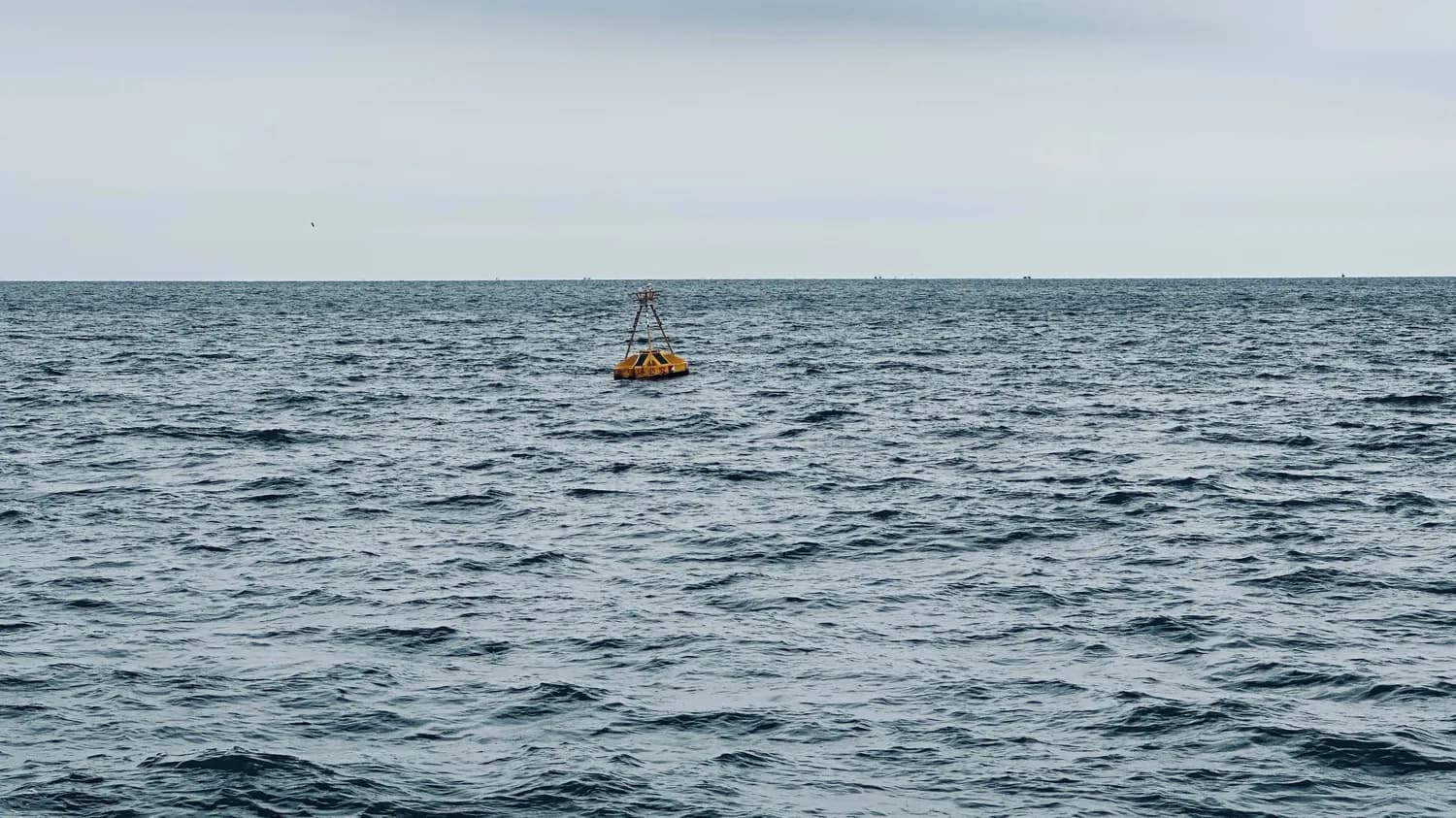 马里亚纳海沟最新科考：发现5个新细菌类群，中国“奋斗者”号创造多项世界纪录