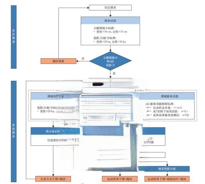 《中国肌肉减少症诊疗指南（2024版）》发布，开启肌少症诊疗新征程