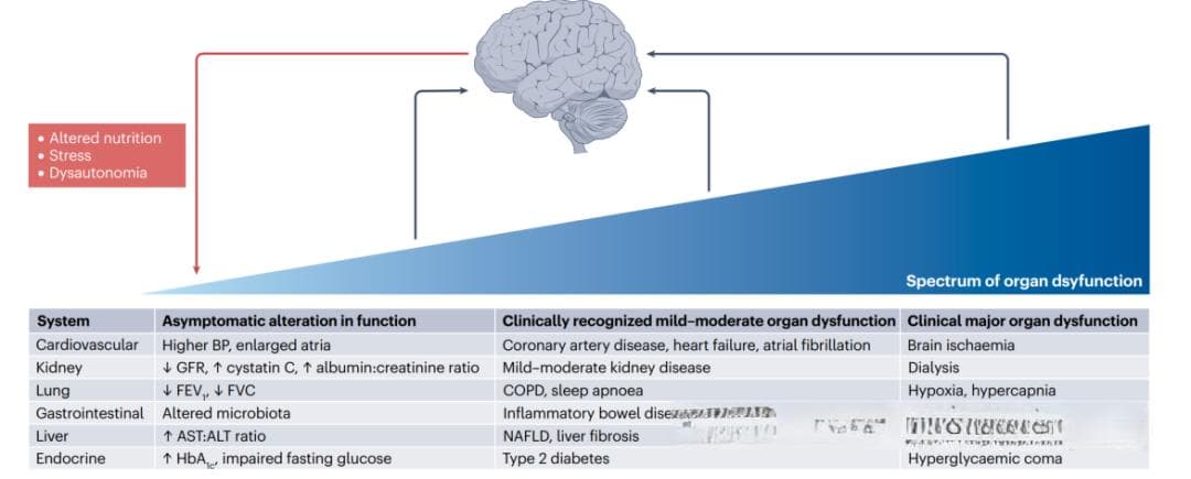Nature权威综述：大脑衰老的系统性决定因素与功能医学预防策略