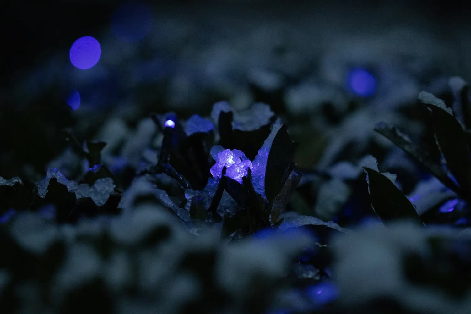 《魔兽世界》奥术法师宝石搭配新策略