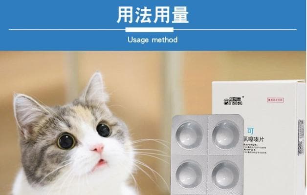 猫咪常见疾病的治疗方法——以速诺片为例