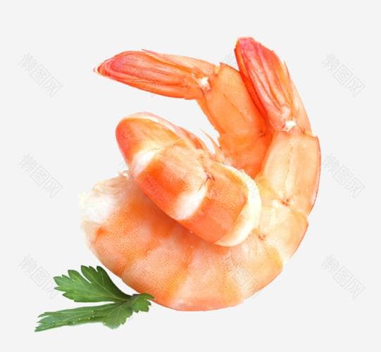 教你如何辨别虾的新鲜程度？