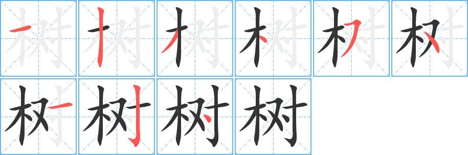 树对什么字——图说汉字的“木”与“林”!