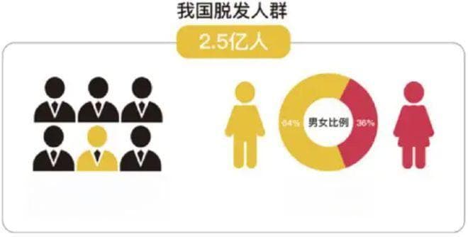 雄激素为什么对毛发来说是双刃剑？
