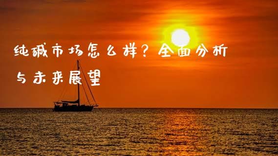 纯碱市场怎么样？全面分析与未来展望