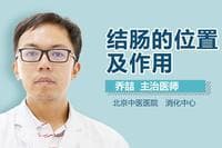 结肠在人体中的位置与功能详解