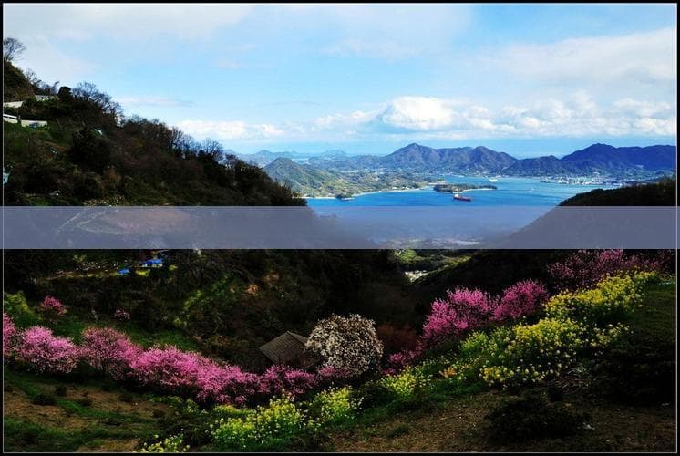 东方鱼鳞洲：海南岛最东端的海蚀地貌与文化胜地