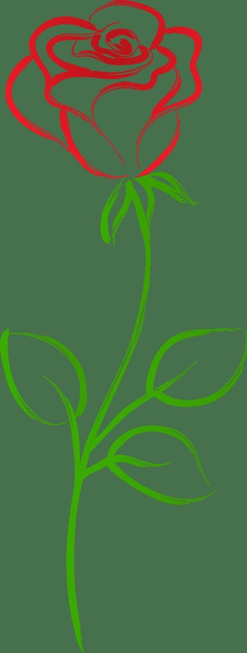 《玫瑰的故事》带来的另一种思考：个性独立与自我实现