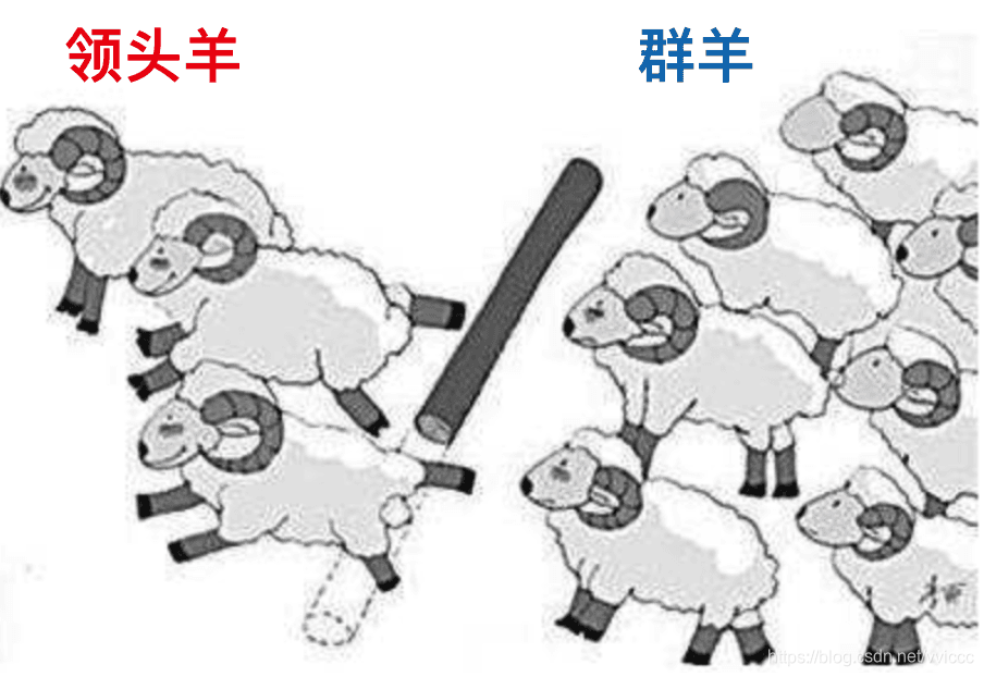 模型 羊群效应