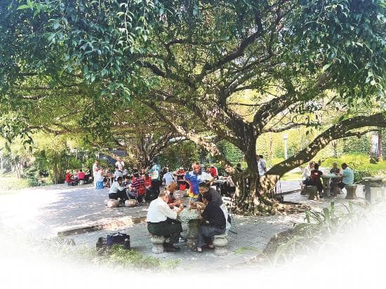南宁市五大公园将实行动静分区，提升市民游玩体验
