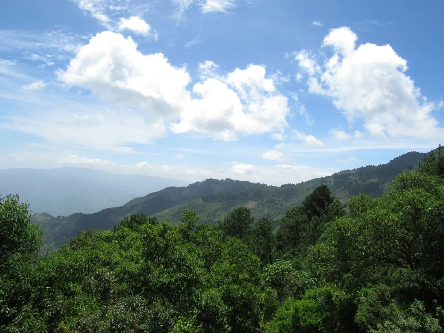 瑞云山森林公园：涵江必打卡景点