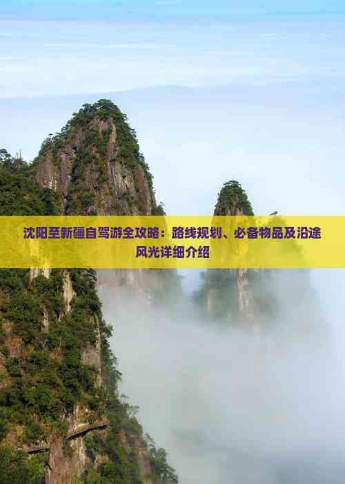 沈阳至新疆自驾游全攻略：路线规划、必备物品及沿途风光详细介绍
