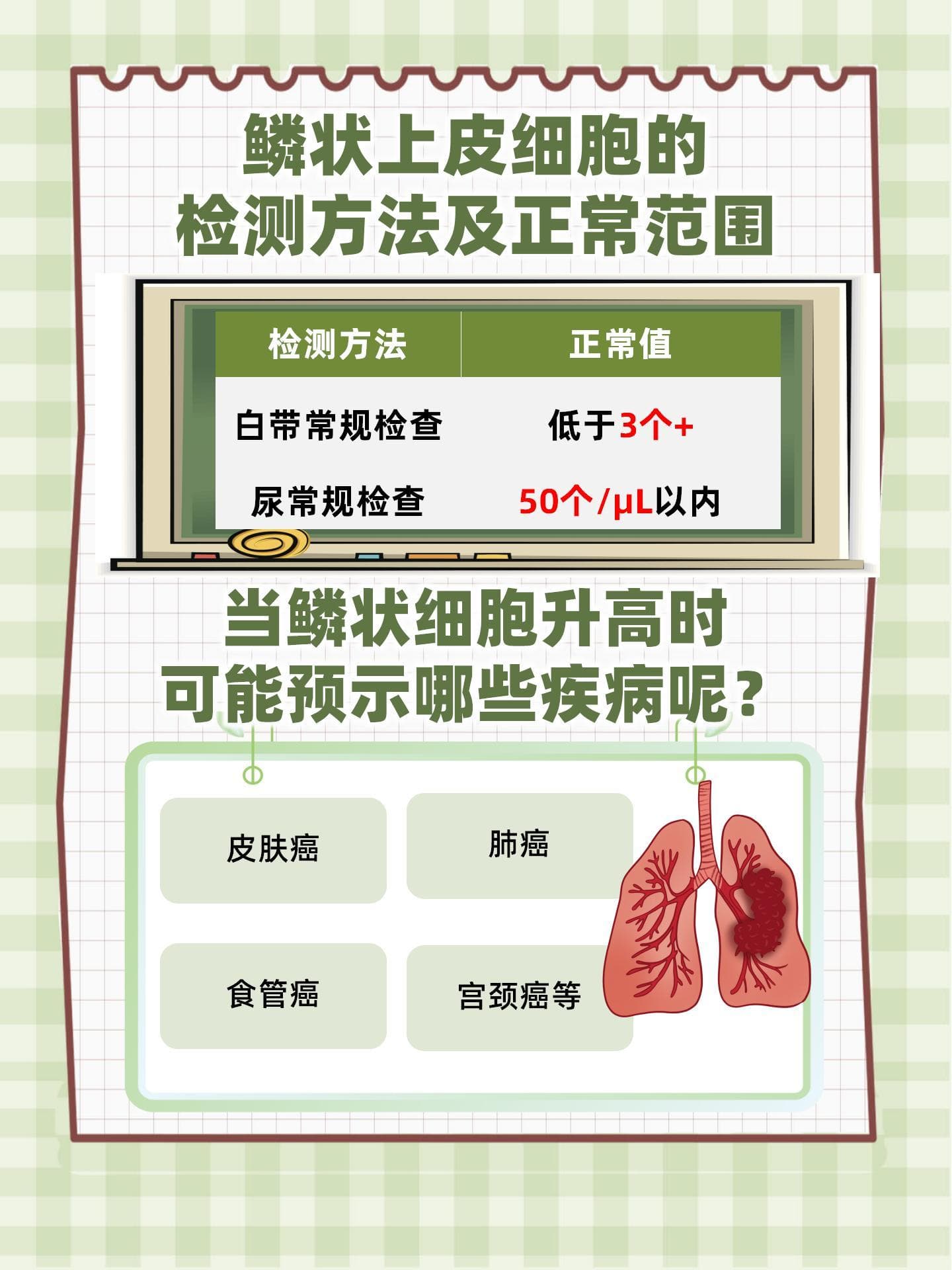 鳞状细胞高多少需要警惕？这个数值要记住
