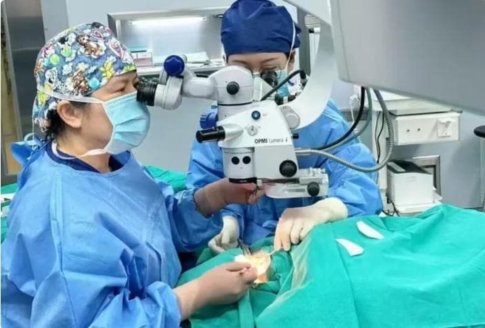上海市儿童医院眼科乔彤团队引入新技术助力儿童高度近视防治