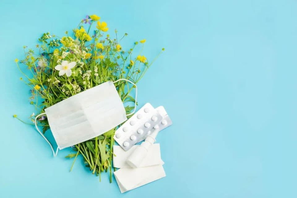 秋季「致敏性」比春天更猛，出门注意这些植物