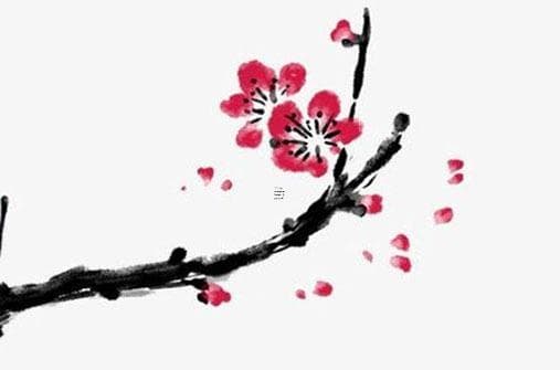 狗的本命佛是阿弥陀佛有哪些寓意？从佛教文化看人与宠物的和谐共生