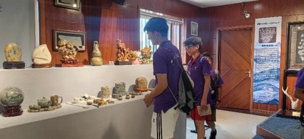 寻根夏令营营员走进天津：探访古生物化石馆、五大道等文化地标