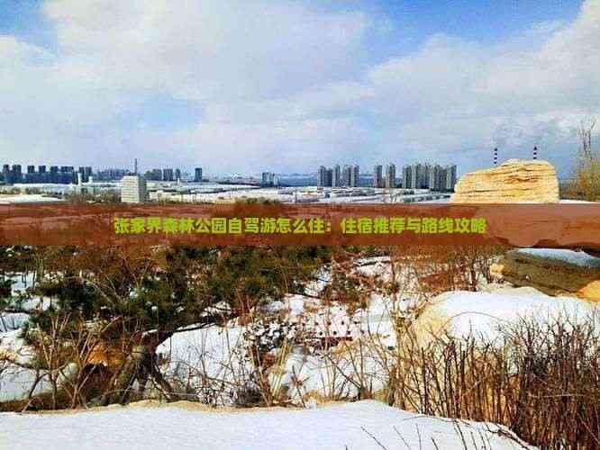 张家界森林公园自驾游怎么住：住宿推荐与路线攻略