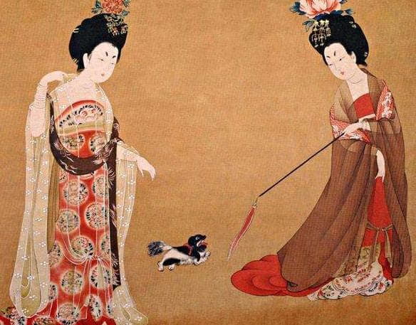 猫的历史：从魔鬼走向宠物C位