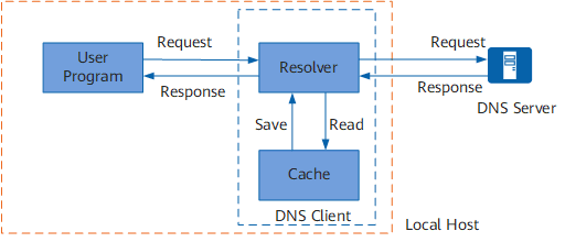 什么是DNS？