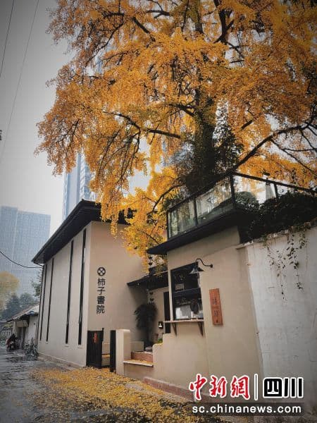 厚植文脉 涵养高品质生活 成都持续提升中国式现代化城市软实力